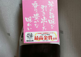 alt 3