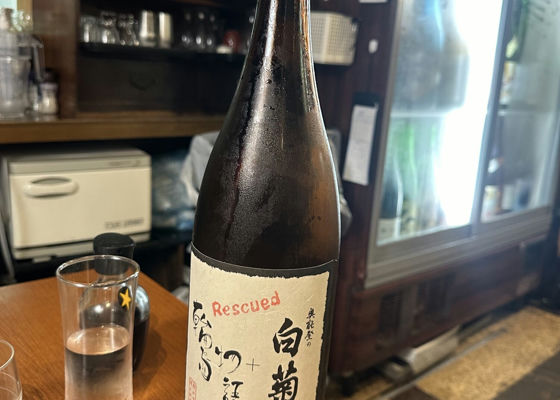 奥能登の白菊 チェックイン 1