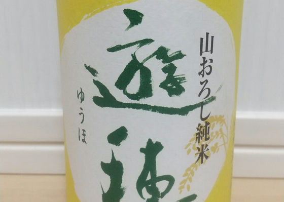 alt 1