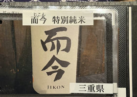 alt 1