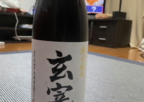 alt 1