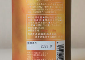 alt 3