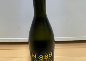 N-888 チェックイン 1