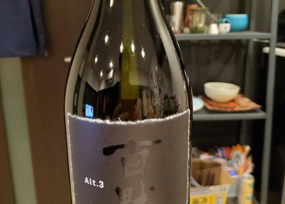 alt 1
