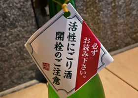 alt 3