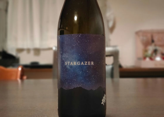 STARGAZER チェックイン 1