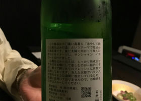 alt 2