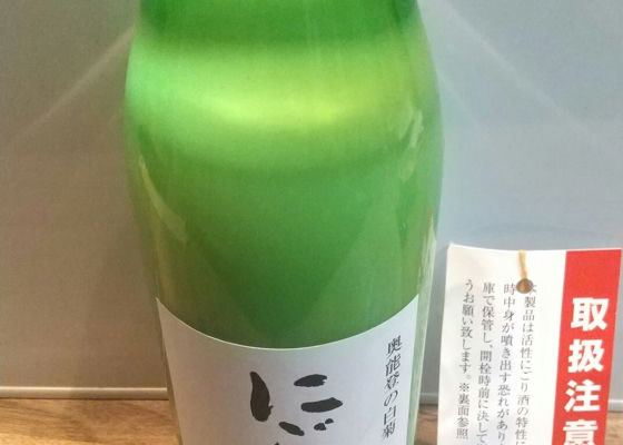 奥能登の白菊