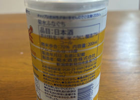 alt 2