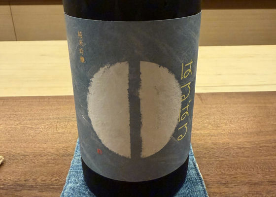 alt 1
