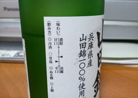 alt 3