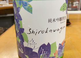 Shirokawago Check-in 2