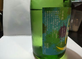 alt 2