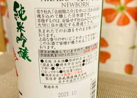 alt 3
