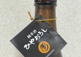alt 3
