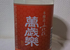 alt 1