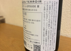 alt 3