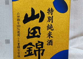 alt 1