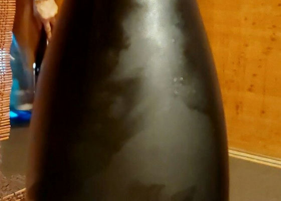 alt 1