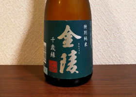 alt 1