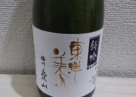 alt 1