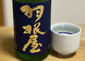 alt 1