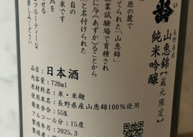 alt 3
