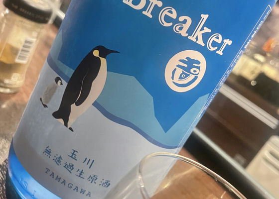 alt 1