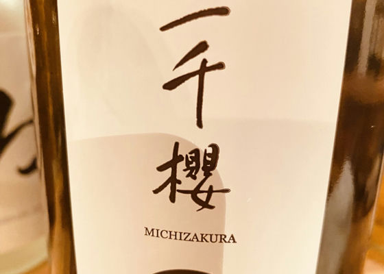 Michizakura 签到 1