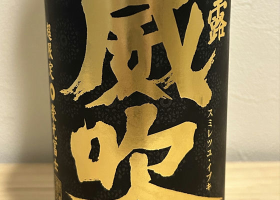 alt 1
