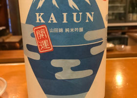 Kaiun Check-in 2