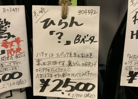 alt 3
