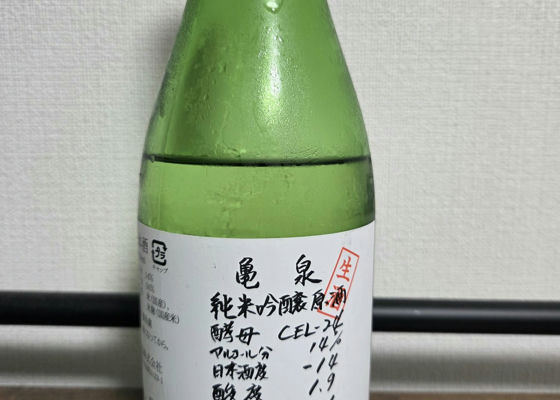 alt 1