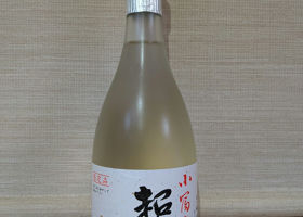 alt 1