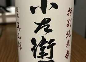 alt 1