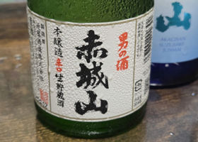 alt 1