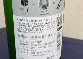 瑠璃猫〜波音に君を探して〜 チェックイン 2
