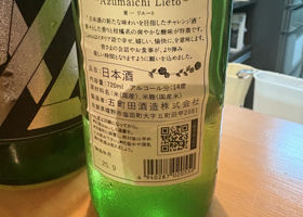 alt 3