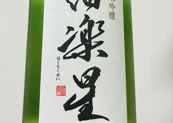 alt 1
