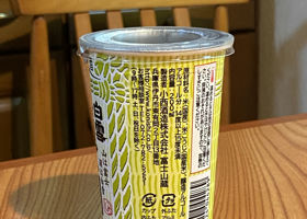 alt 2