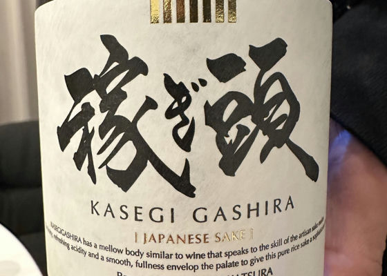 Kasegigashira Check-in 1