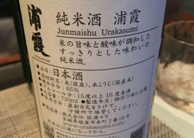 Urakasumi Check-in 2