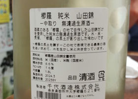 alt 3