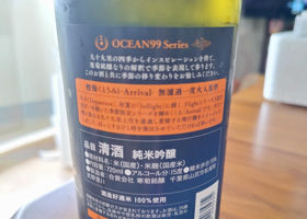 OCEAN99 チェックイン 3