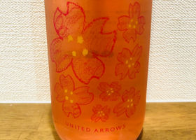 alt 1