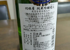 alt 2