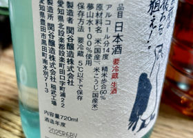 alt 3