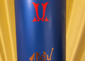 alt 1