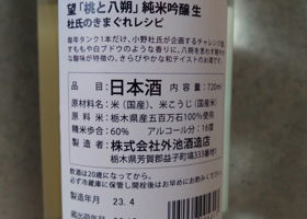 alt 3