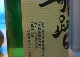 alt 3
